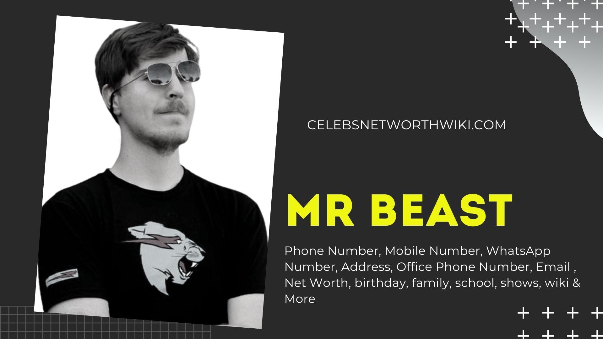 Mr Beast Phone Number, WhatsApp Number Contact Number Mobile