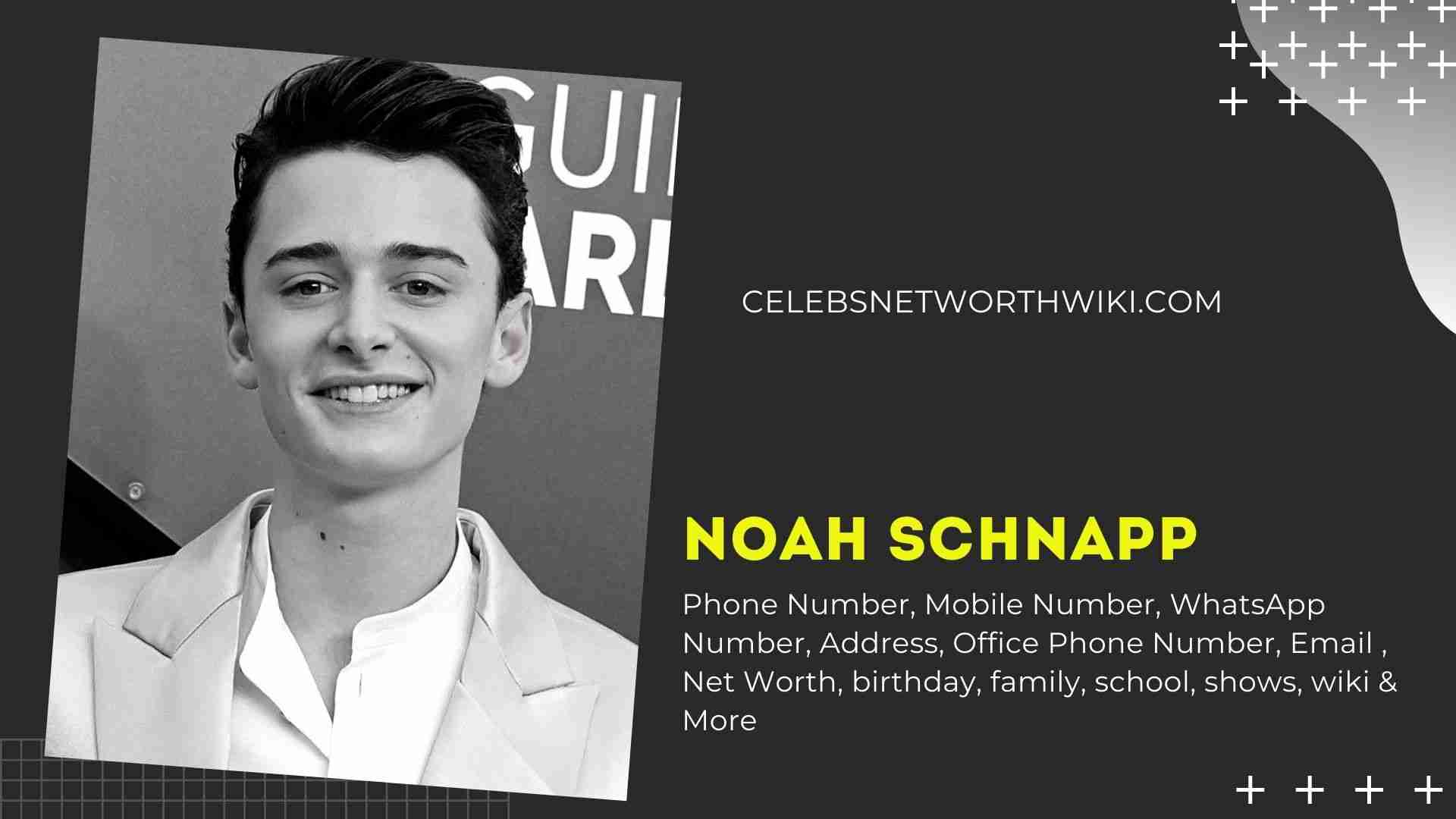 Noah Schnapp Phone Number WhatsApp Number Contact Mobile.