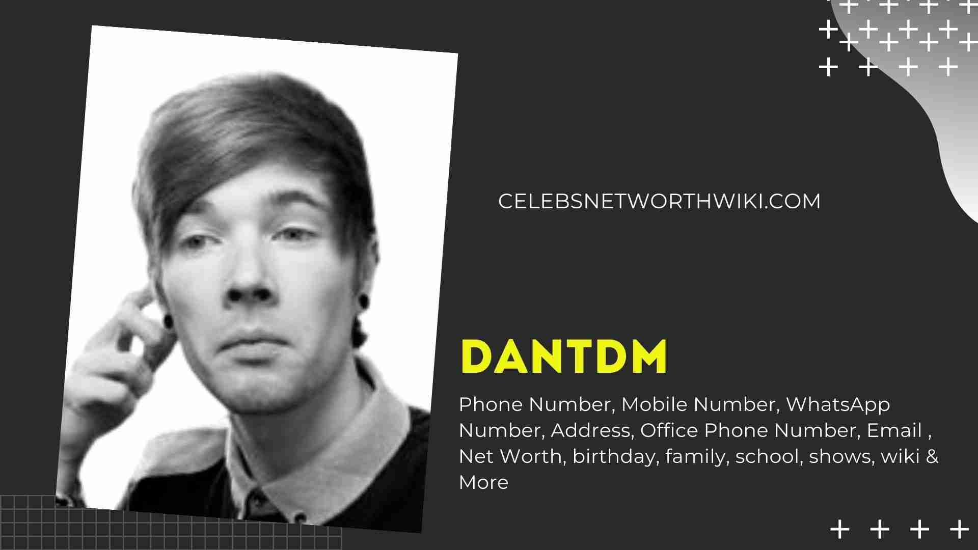 Dantdm Phone Number Texting Number Contact Number Mobile Number