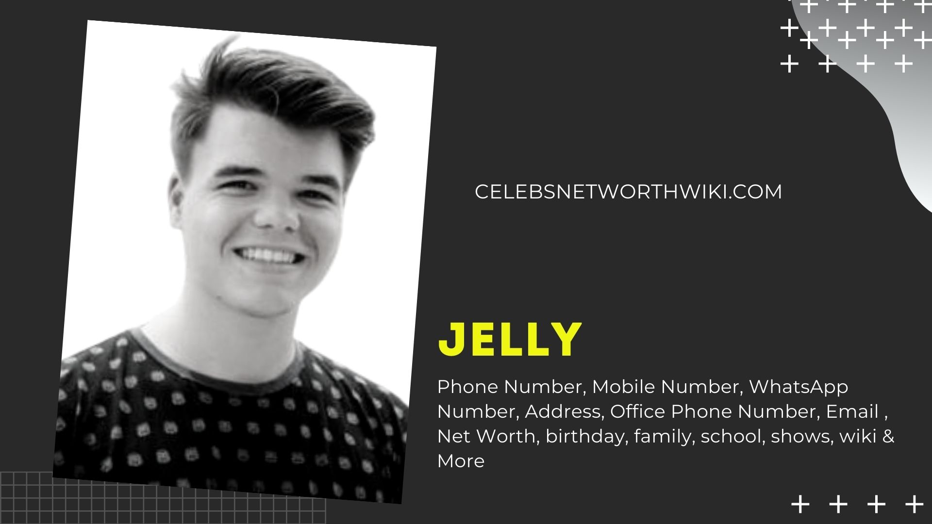 Jelly Phone Number Texting Number Contact Number Mobile Number