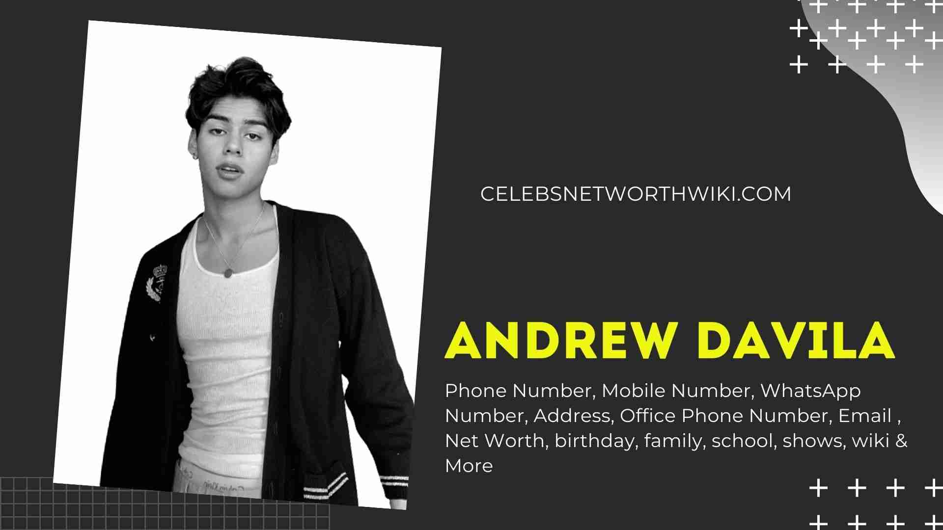 Andrew Davila Phone Number Texting Number Contact Number Mobile
